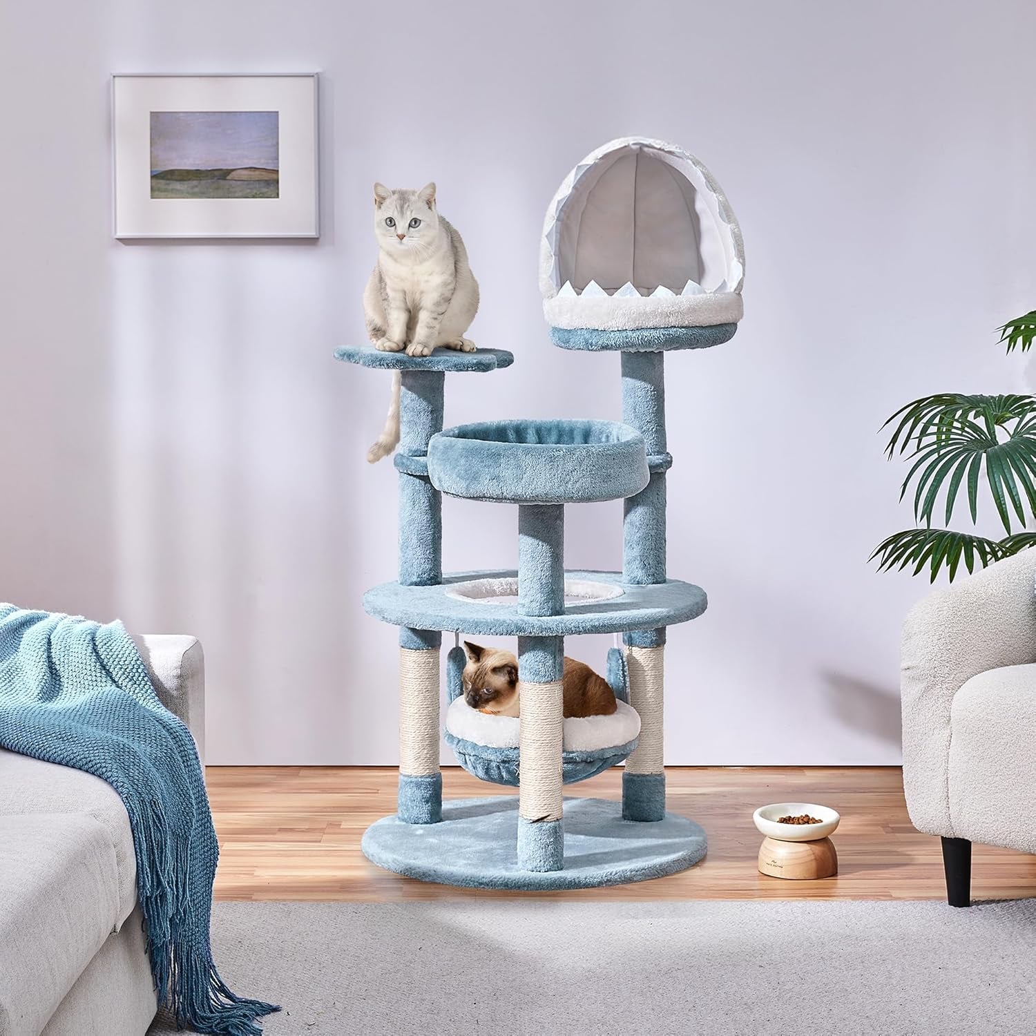 Mantas y Muebles, Mascotas, Gatos, Camas para gatos, Rascador, Gatos - Camas, Colchones