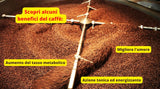 Caffè New York - XXXX - Café en grano entero - 1000g