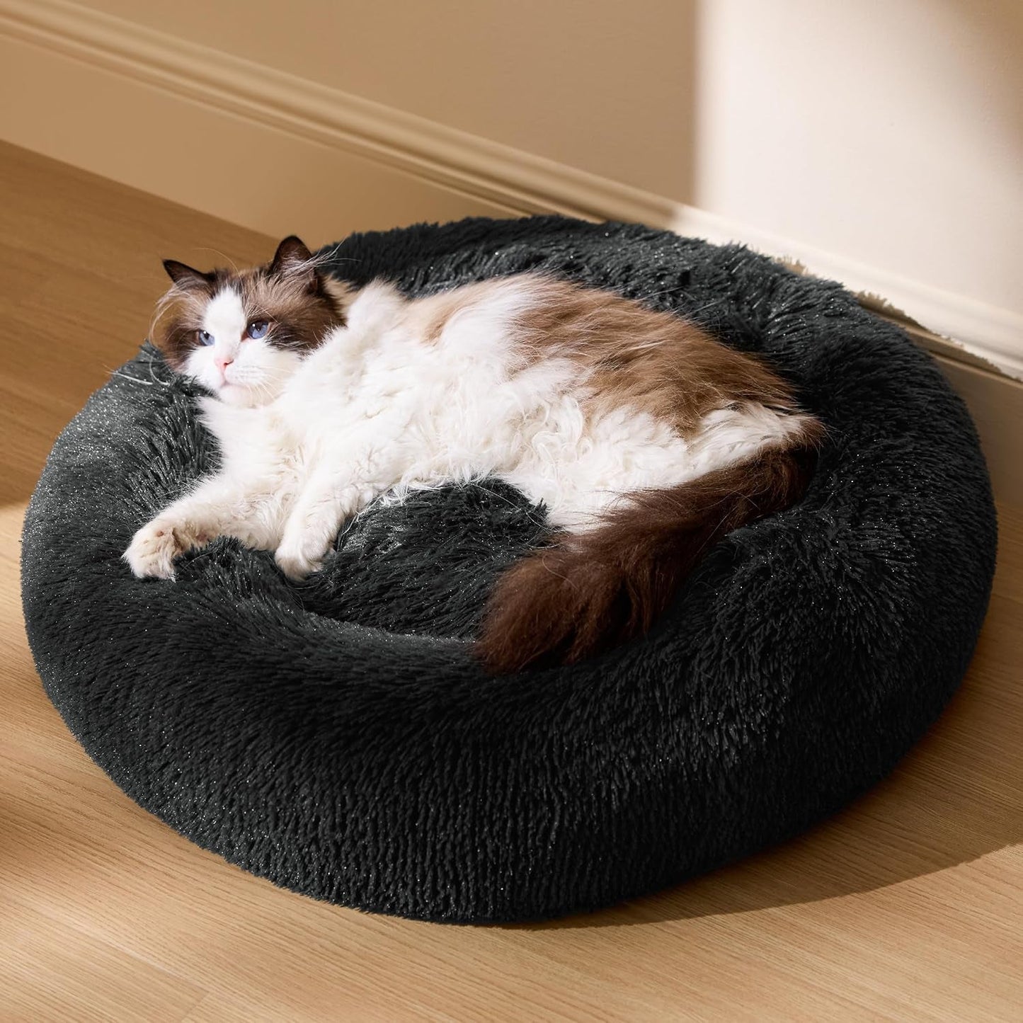Camas, mantas y muebles, mascotas, gatos, camas para gatos, Gatos - camas, colchones