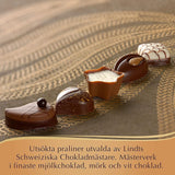 Chocolates Lindt - Selección de lujo suizo (445g)