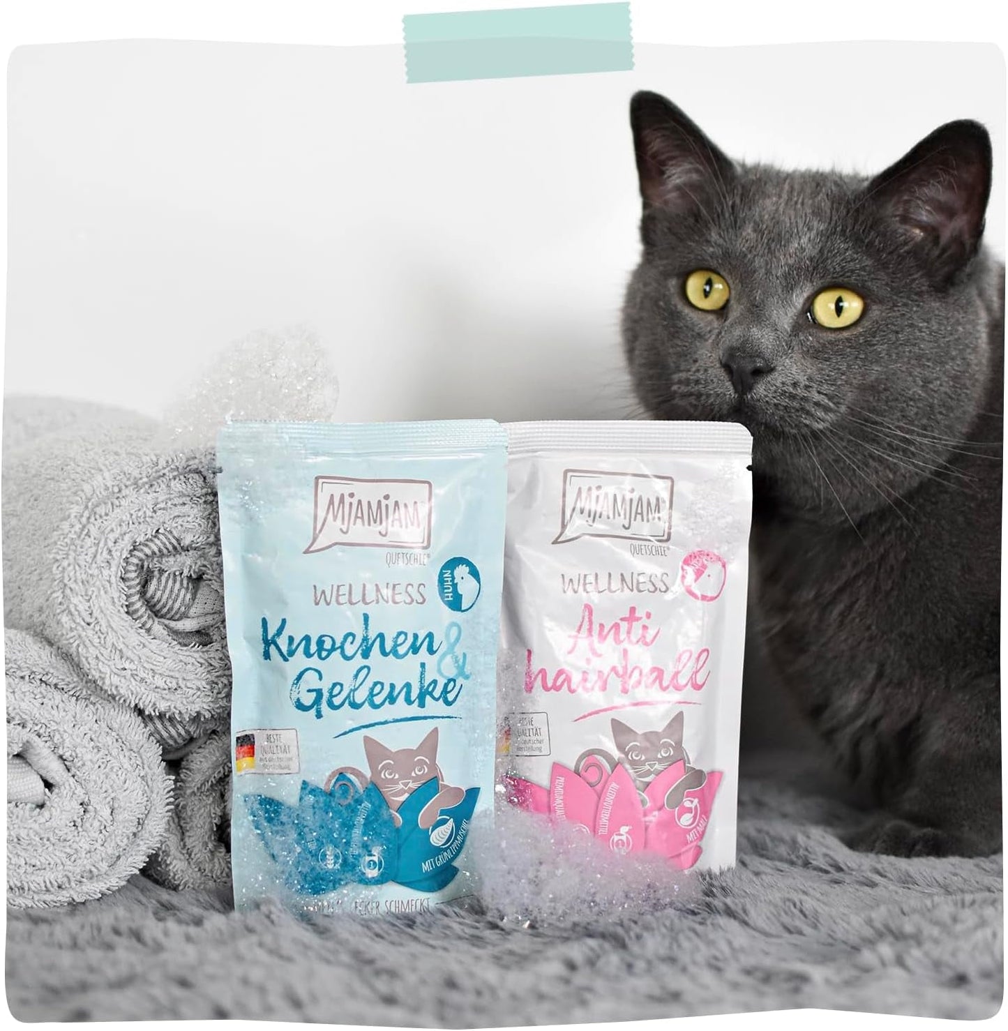 MjAMjAM - Comida húmeda premium para gatos - Bienestar - Digestivo - Carne de vacuno, paquete de 12 (12 x 125 g), sin cereales