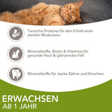 IAMS Delights Land Collection Comida húmeda para gatos - Multi-pack con variedades de carnes (cordero, ternera, pollo y pavo) en salsa, comida húmeda para gatos a partir de 1 año, 12 x 85g