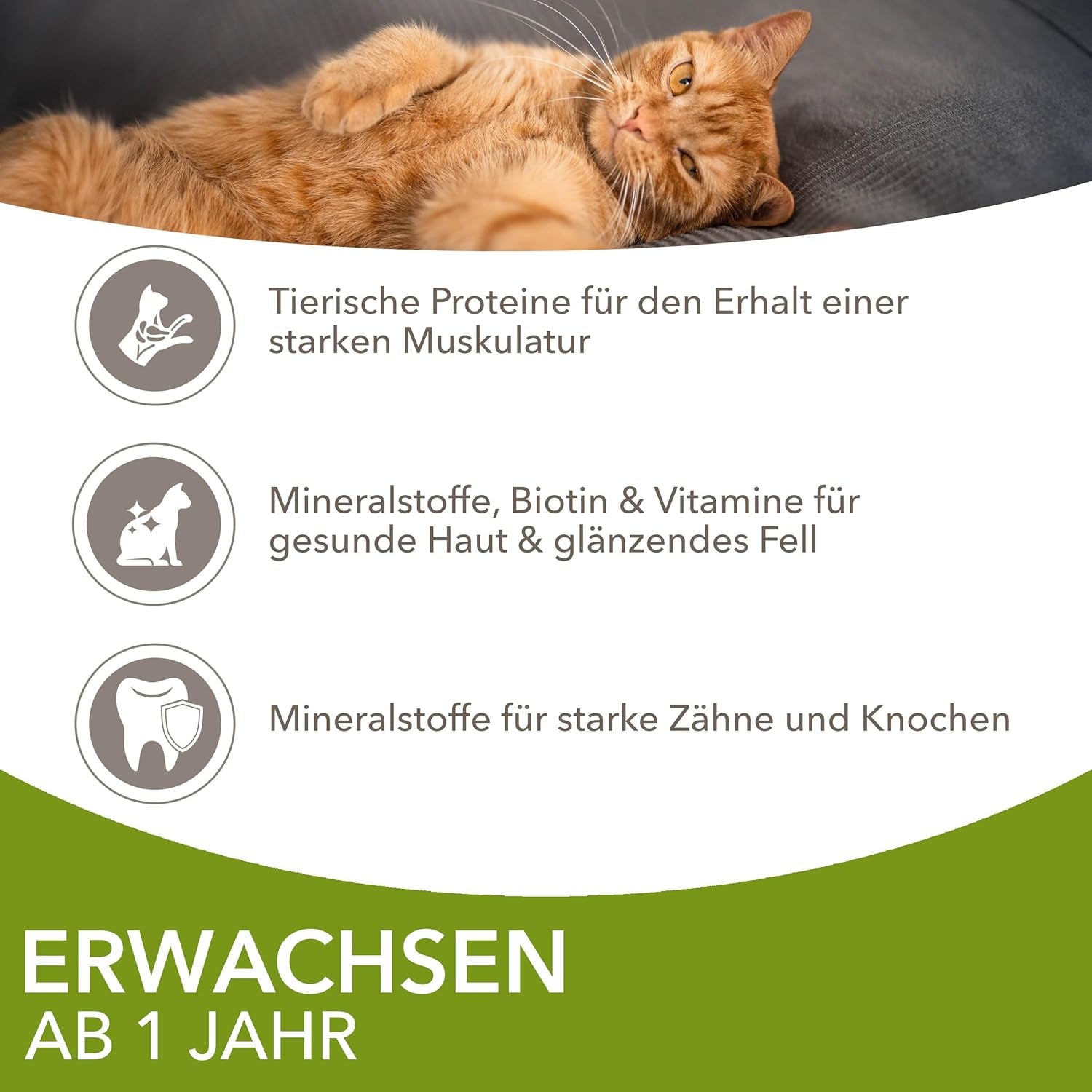 IAMS Delights Land Collection Comida húmeda para gatos - Multi-pack con variedades de carnes (cordero, ternera, pollo y pavo) en salsa, comida húmeda para gatos a partir de 1 año, 12 x 85g