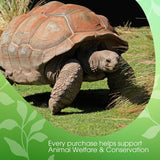 David Rio - Chai verde tortuga, caja (1 x 398 g)