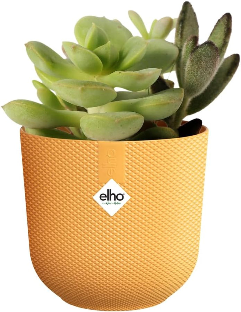 elho Jazz Round Mini 7cm - Macetas de interior - 100% plástico reciclado - Ø 7 x H 6,5 cm - Amarillo/Ámbar