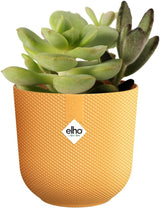 elho Jazz Round Mini 7cm - Macetas de interior - 100% plástico reciclado - Ø 7 x H 6,5 cm - Amarillo/Ámbar