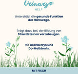 Almo Nature Functional Urinary Help - Nassfutter für ausgewachsene Katzen mit Fisch - Unterstützung für die Gesundheit der Harnwege - 30 bolsas de 70 g