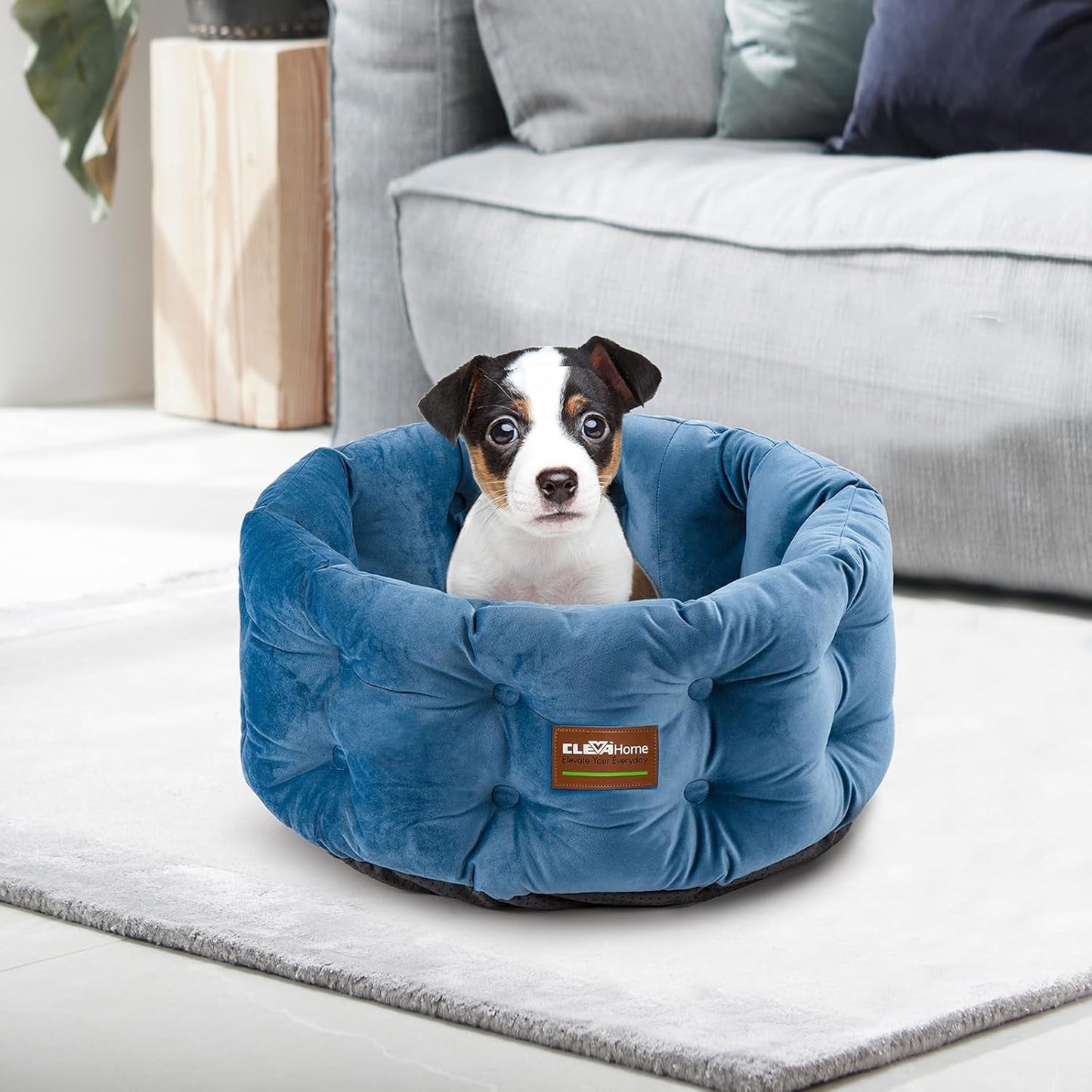 Camas y Sofás, Mantas y Muebles, Mascotas, Gatos, Camas para gatos, Gatos - camas, colchones