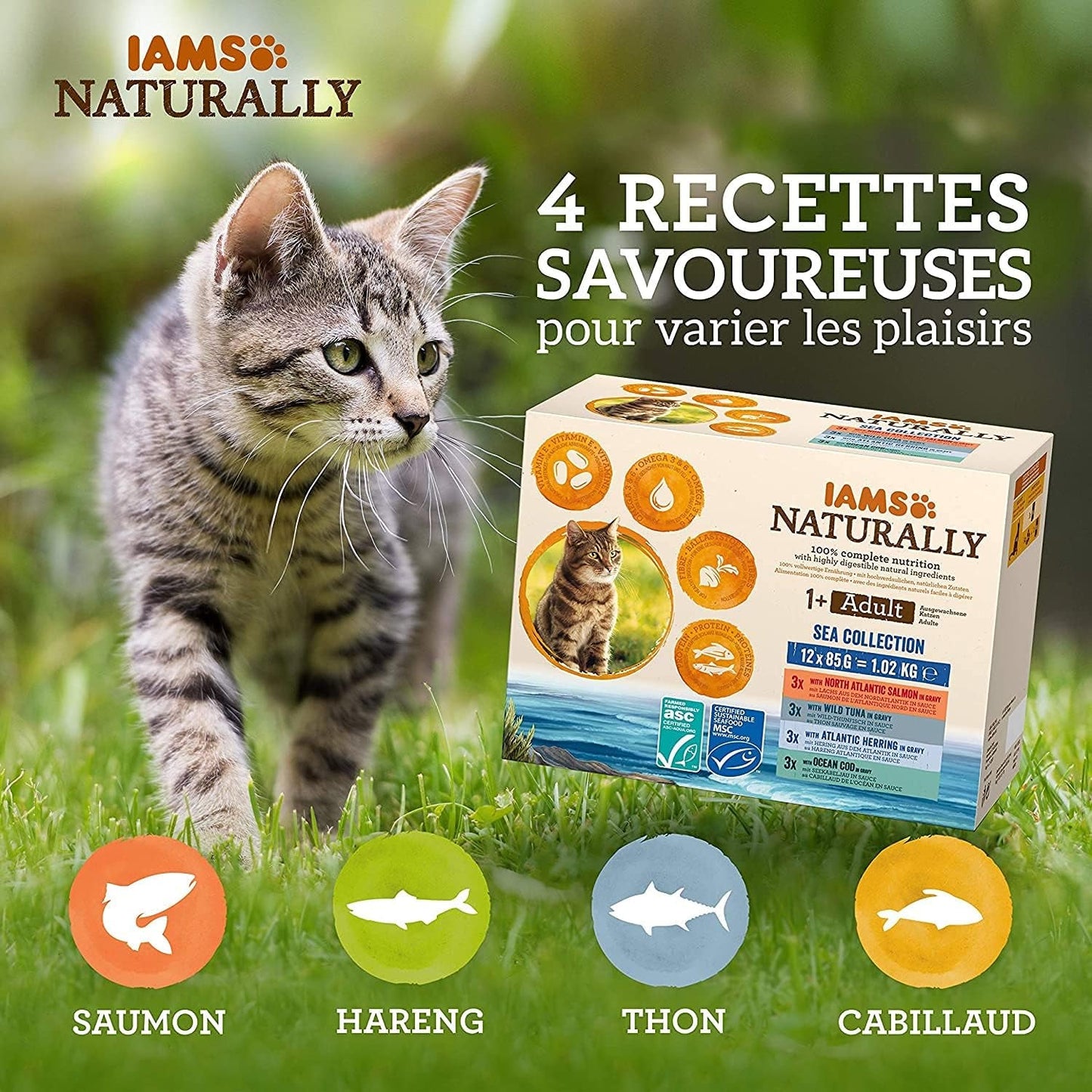 IAMS Comida Húmeda Natural para Gatos en Salsa - Comida Húmeda de Alta Calidad con Pescado para Gatos Adultos, Colección Mar, 12 x 85 g