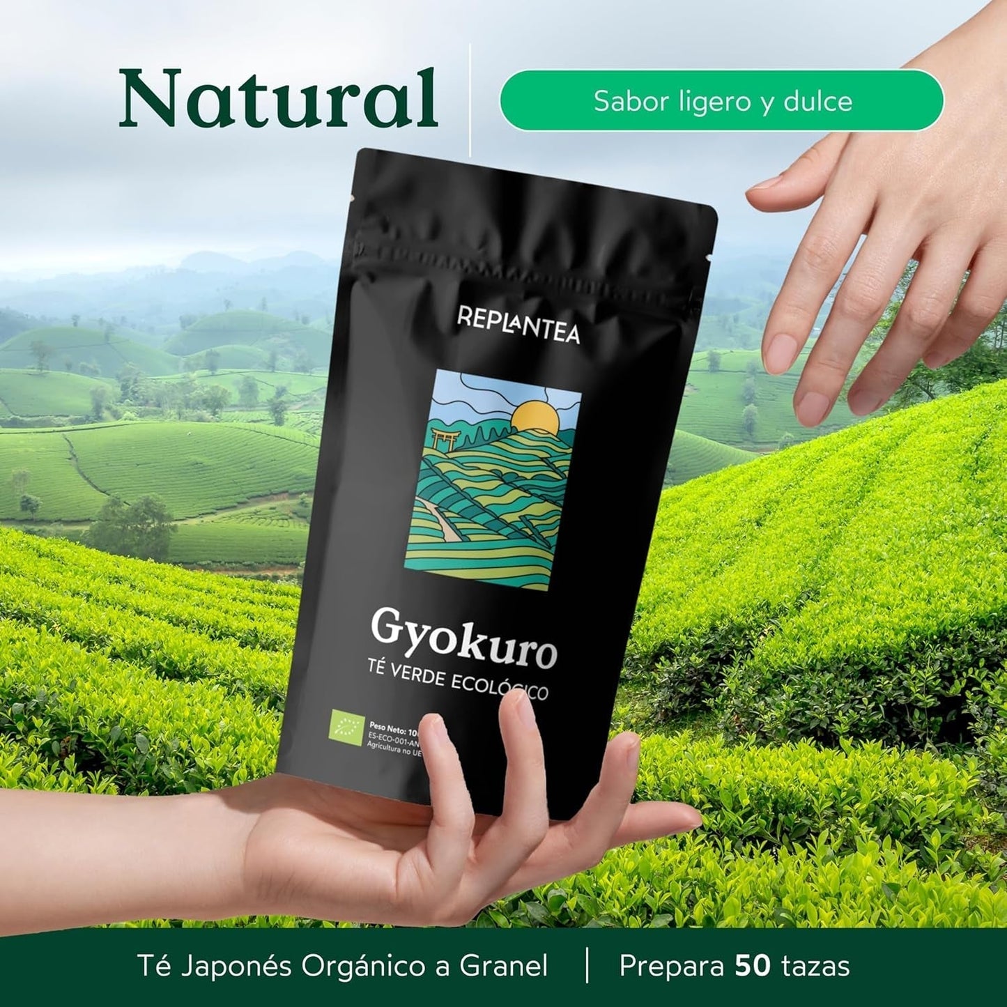 Té verde japonés Gyokuro orgánico (100 g) | Té premium a granel | Sabor umami refinado y dulzura delicada | REPLANTAR