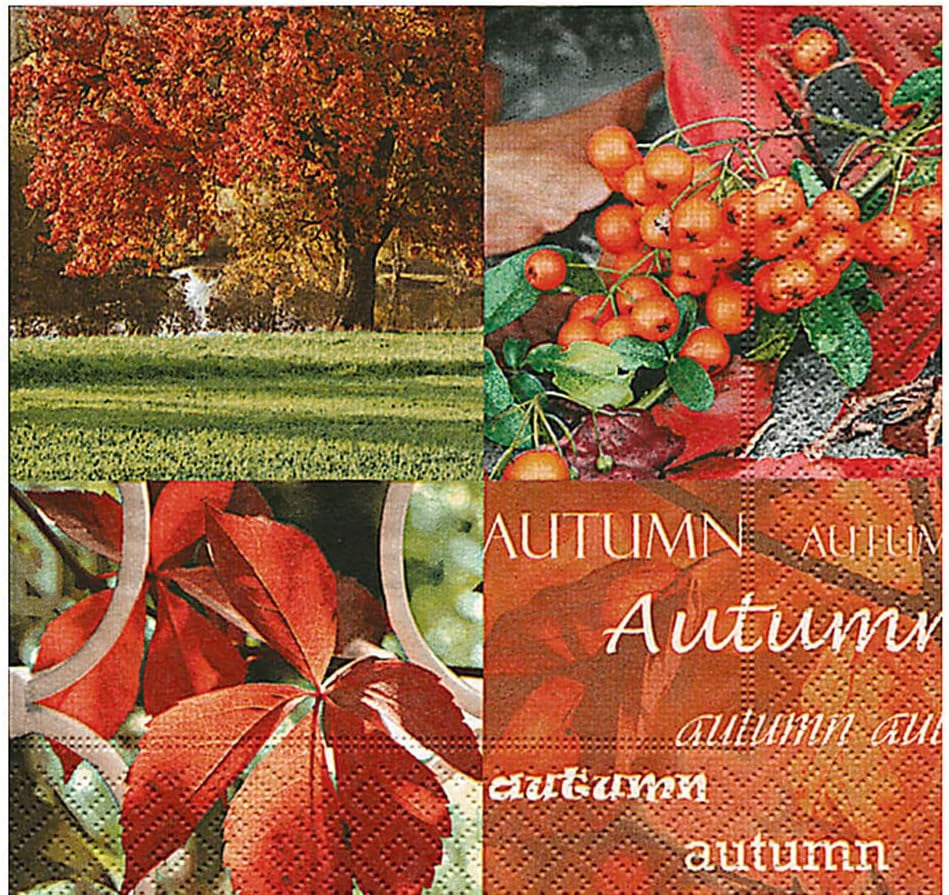 Toallitas de celulosa, la naturaleza del otoño" (contenido 1)