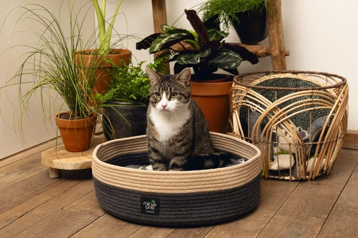 Camas, mantas y muebles, mascotas, gatos, camas para gatos, Gatos - camas, colchones
