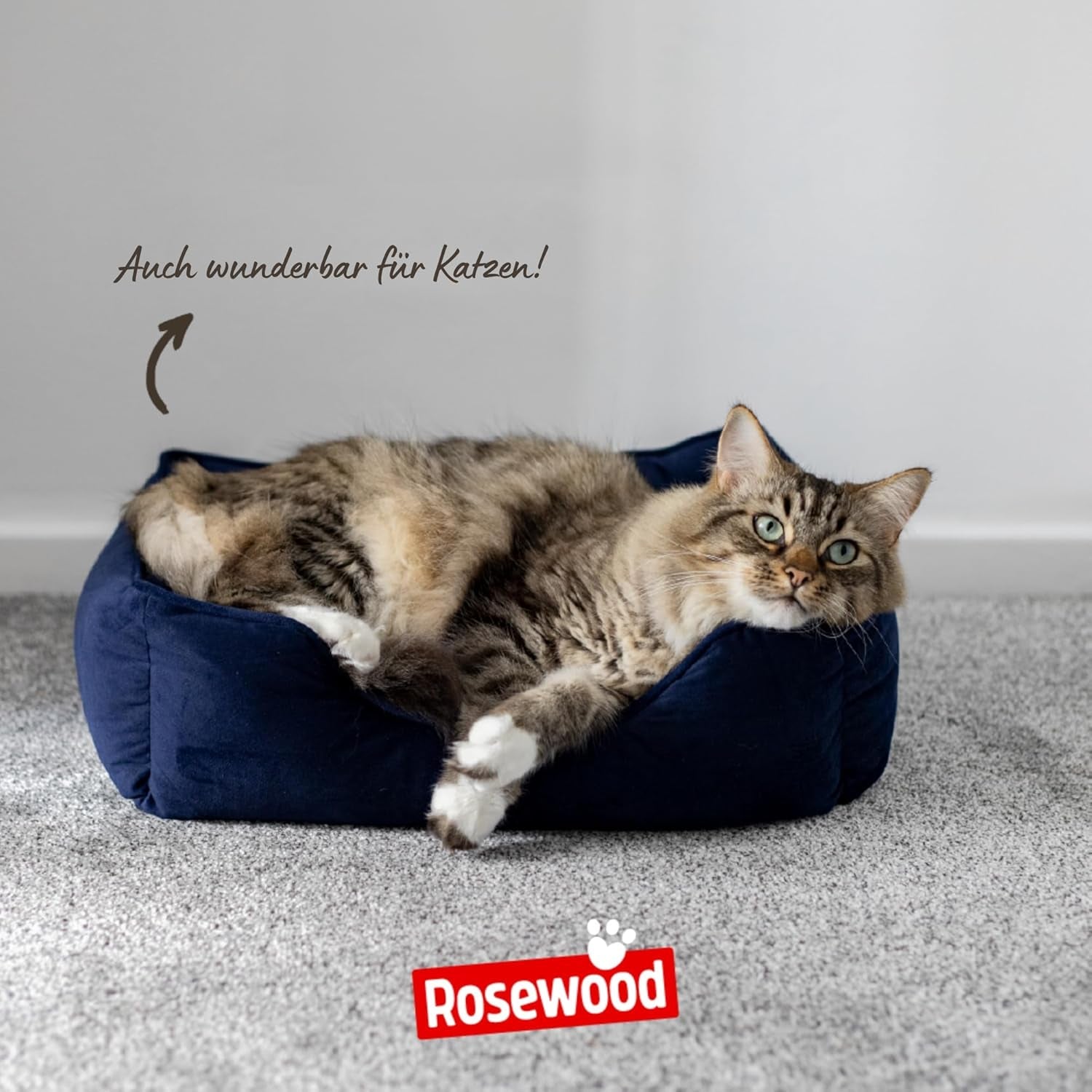 Camas y Sofás, Mantas y Muebles, Mascotas, Gatos, Camas para gatos, Gatos - camas, colchones