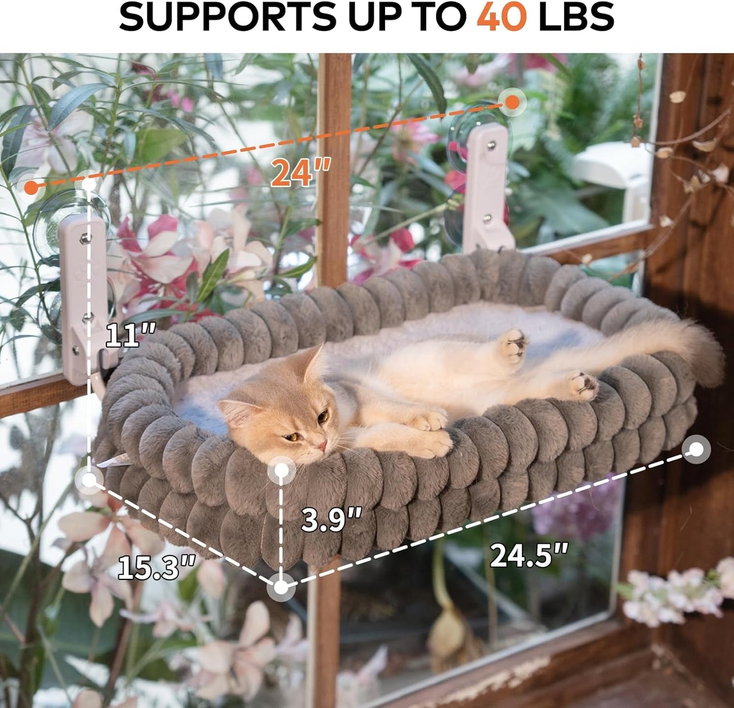 Camas, mantas y muebles, mascotas, gatos, camas para gatos, Gatos - camas, colchones
