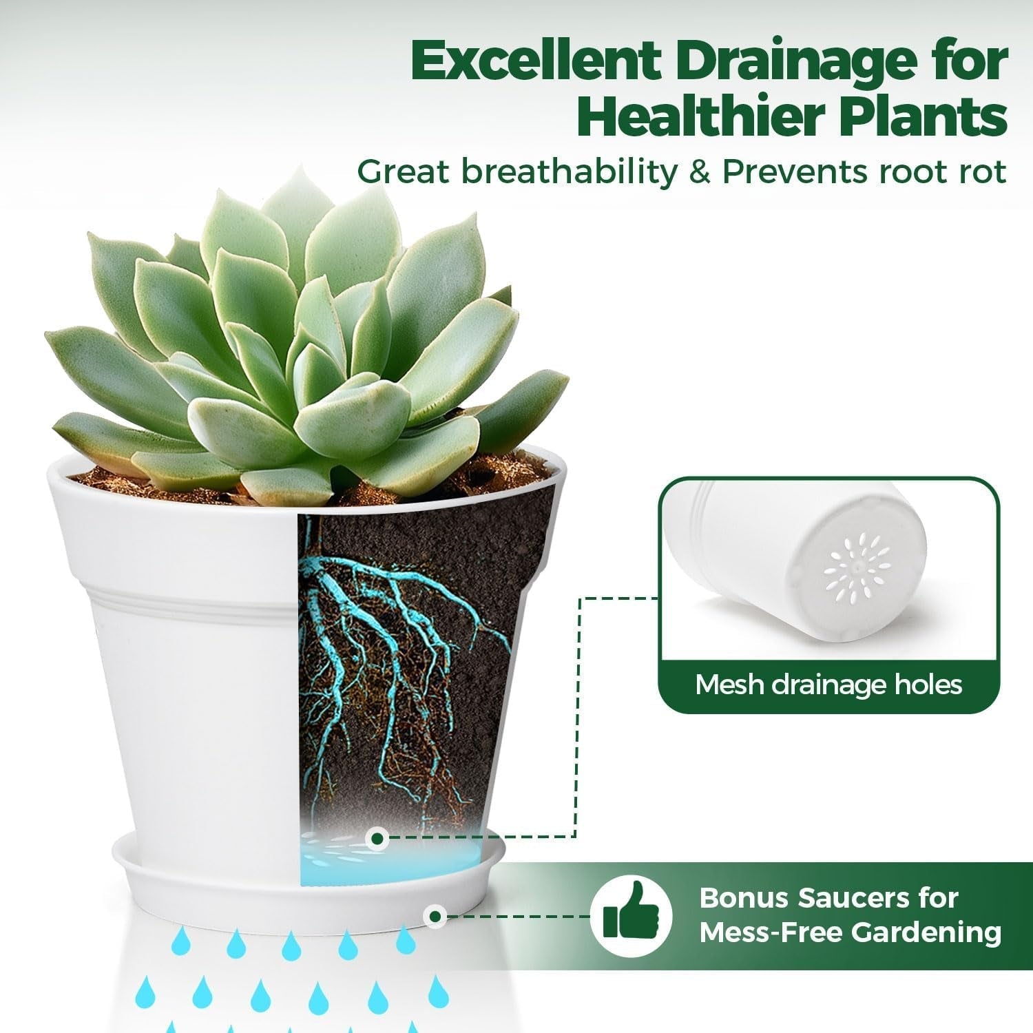 T4U Maceta de Plástico con Platillo de 16 cm, Juego de 6 Macetas de Plástico para Hierbas con Múltiples Orificios de Drenaje, Maceta Redonda para Plantas Suculentas de Interior y Balcón, Cactus, Blanco