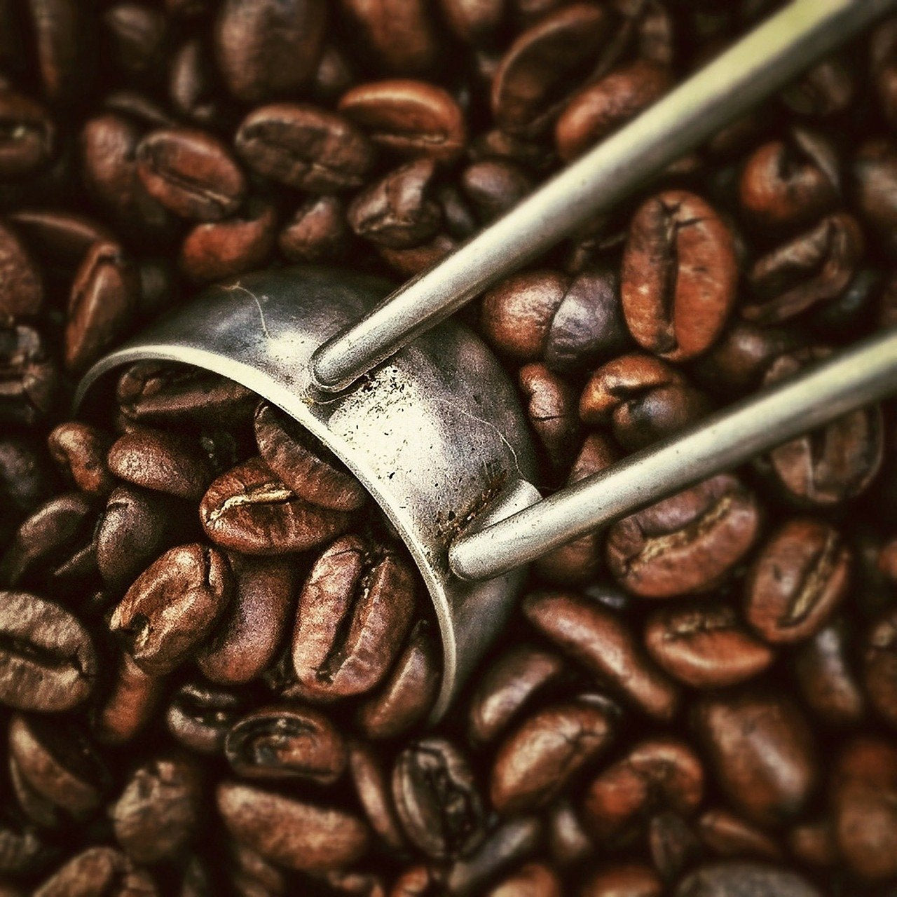 Café con avellanas aromáticas, 3 granos enteros de 1000 g