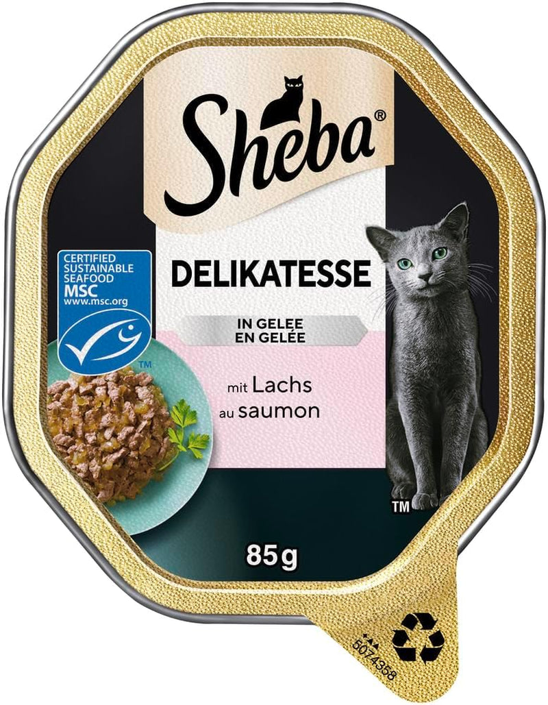 Sheba Comida húmeda para gatos, delicatessen en gelatina de salmón, 2 x 11 x 85 g