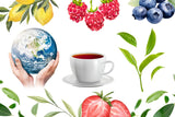 Babcia Jagoda - Té de frutas "Fruchtige Verführung" - 20 bolsitas de té - Con hibisco, manzana, chokeberry, mora, escaramujo, piel de naranja - Intenso sabor a fruta, sin cafeína, vegano, natural, Cay - 40G