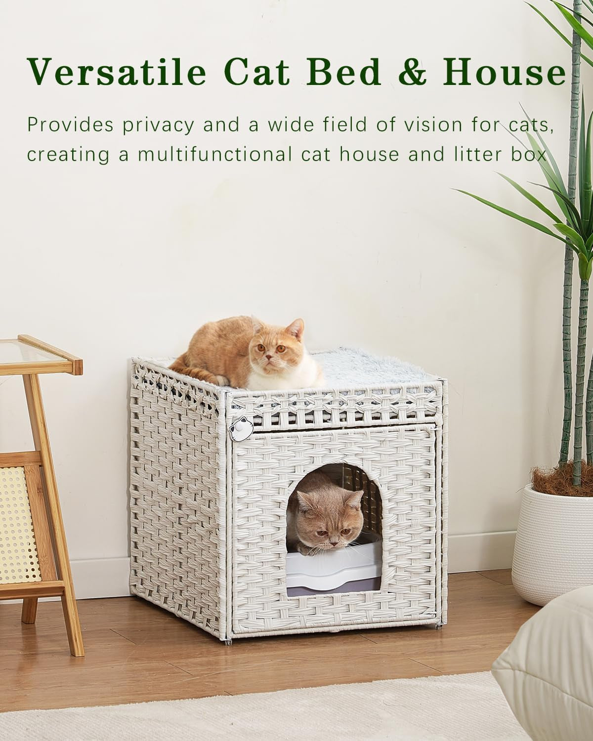 Mantas y Muebles, Mascotas, Casas y Cuevas, Gatos, Camas para gatos, Gatos - camas, colchones