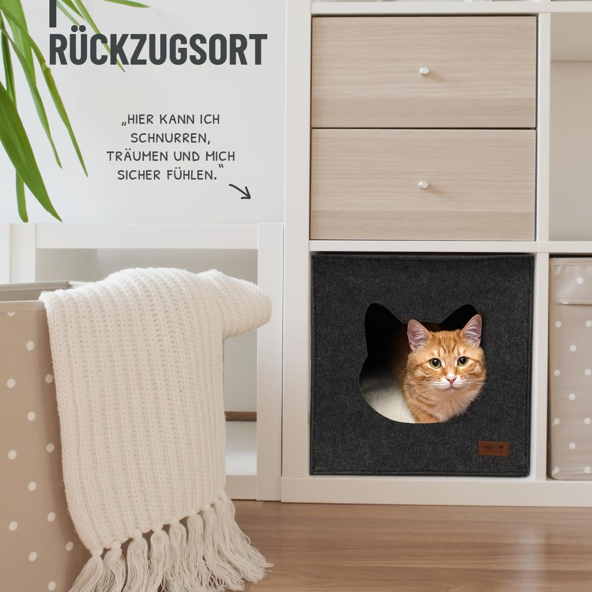 Mantas y Muebles, Mascotas, Casas y Cuevas, Gatos, Camas para gatos, Gatos - camas, colchones