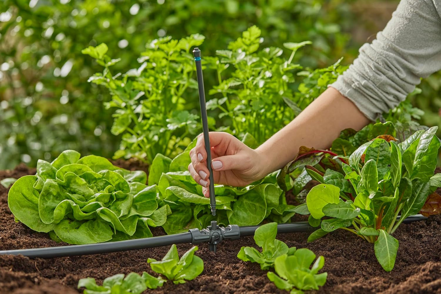 Pieza en T Gardena Micro-Drip-System para boquillas pulverizadoras: Conexión entre tubos de 13 mm y una boquilla pulverizadora, riego automático de plantas, tecnología de conexión rápida y sencilla, reutilizable (13206-20)