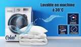 COLAS NORMAND - Edredón contra ácaros y bacterias - Templado - 280 X 240 Cm - Efecto de larga duración - Perfecta higiene - Microfibra - Suave y confortable - Lavable Edredones y edredones Naty Shop
