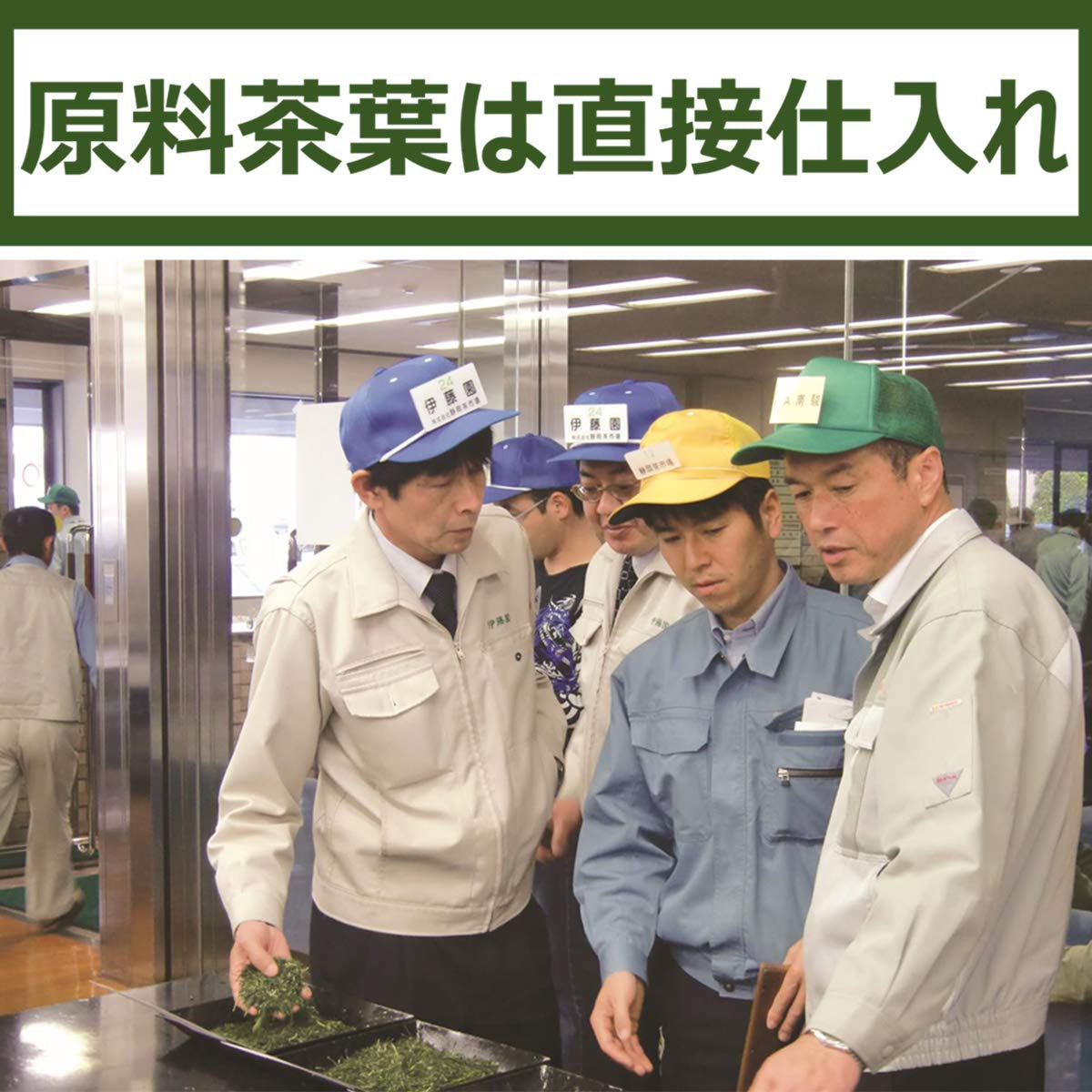 Itoen Oiocha Matcha-Iri Ryokucha - Hojas de té verde japonés - 100 g