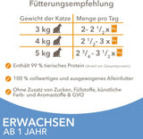 IAMS Delights Sea Collection Katzenfutter Nass - Multipack con pescado clasificado (Lachs, Thunfisch, Caballa, Seefisch) en salsa, Nassfutter para Katzen de 1 año, 12 x 85 g