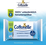 Toallitas húmedas, Ultimate Fresh, 12 x 42 toallitas, tecnología Deodycylx, respetuosas con la piel, sin alcohol ni colorantes, sensibles, biodegradables
