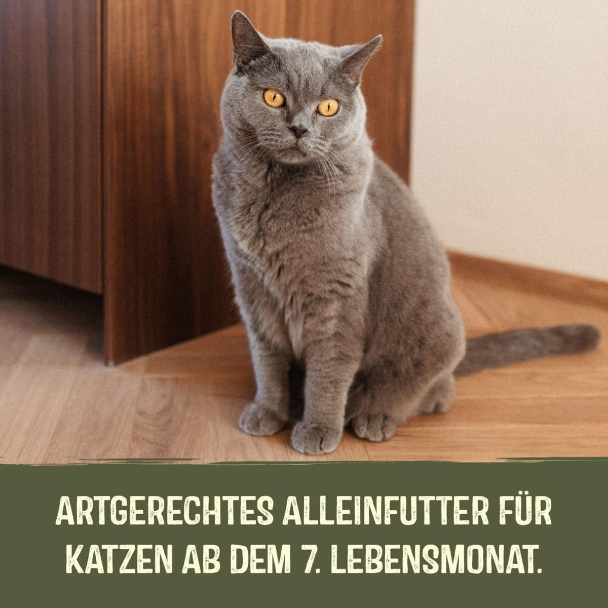 GimCat Near Nature Trial Mix 12 Pack - Alimento húmedo sin cereales para gatos a partir de 7 meses con una receta apropiada para su especie y presa específica - 12 sobres (12 x 85 g)