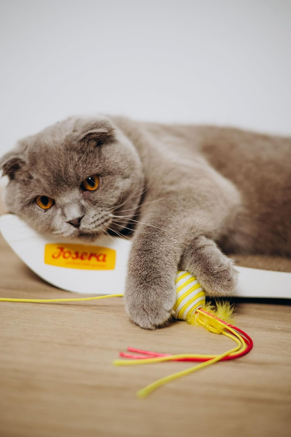 JosiCat Pollo en Salsa (12 x 415 g) | Adulto | Comida húmeda premium para gatos adultos | Pollo en salsa | Vitamina D3 y E | Desarrollado por JOSERA | Comida húmeda para gatos | Alimentación completa | Paquete de 12