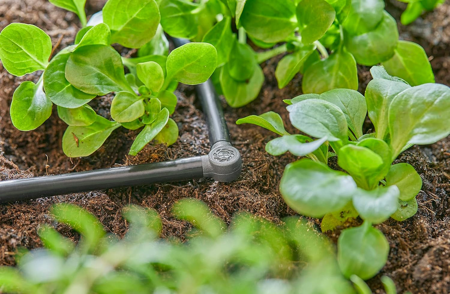 Pieza en L para Gardena Micro-Drip de 4,6 mm (3/16 pulgadas): para cambiar la dirección de distribución y las líneas de goteo en 90 grados, instalación sin dobleces, tecnología de conexión fácil y flexible (13212-20)