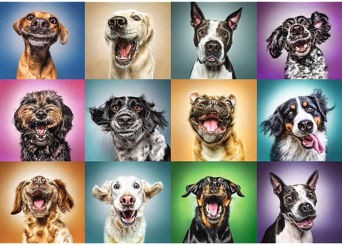 Puzzle - "1000" - Retratos divertidos de perros Puzzle Naty Shop