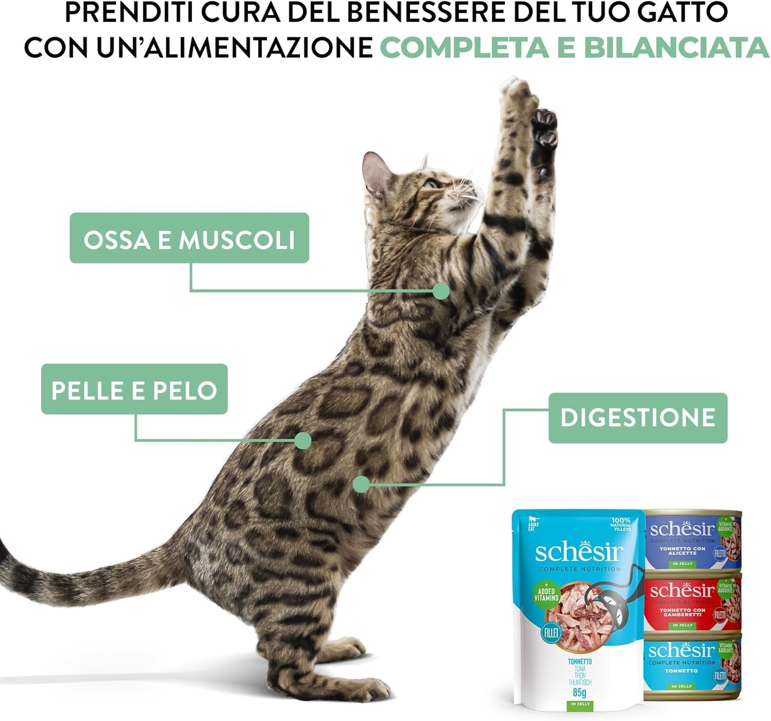 , Atún con pescado azul en gelatina, comida húmeda completa para gatos, en bolsita, con vitaminas adicionales, 100% natural, 6 x 85 g