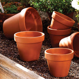 Hollyone Juego de 8 maceteros pequeños de terracota, maceteros redondos de arcilla de 8 x 8 cm con plato y orificio de drenaje, maceteros pequeños con bandeja, maceteros suculentos de terracota para plantas de interior, maceteros de cerámica