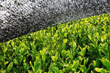 BIO Matcha en polvo 200 g I Sin aditivos - 100% natural I Té Matcha japonés premium I Té verde en polvo de