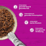 WHISKAS PURE DELIGHT Comida húmeda en gelatina 24 x 85g Ragú clásico (4 paquetes) 48 sobres racionados