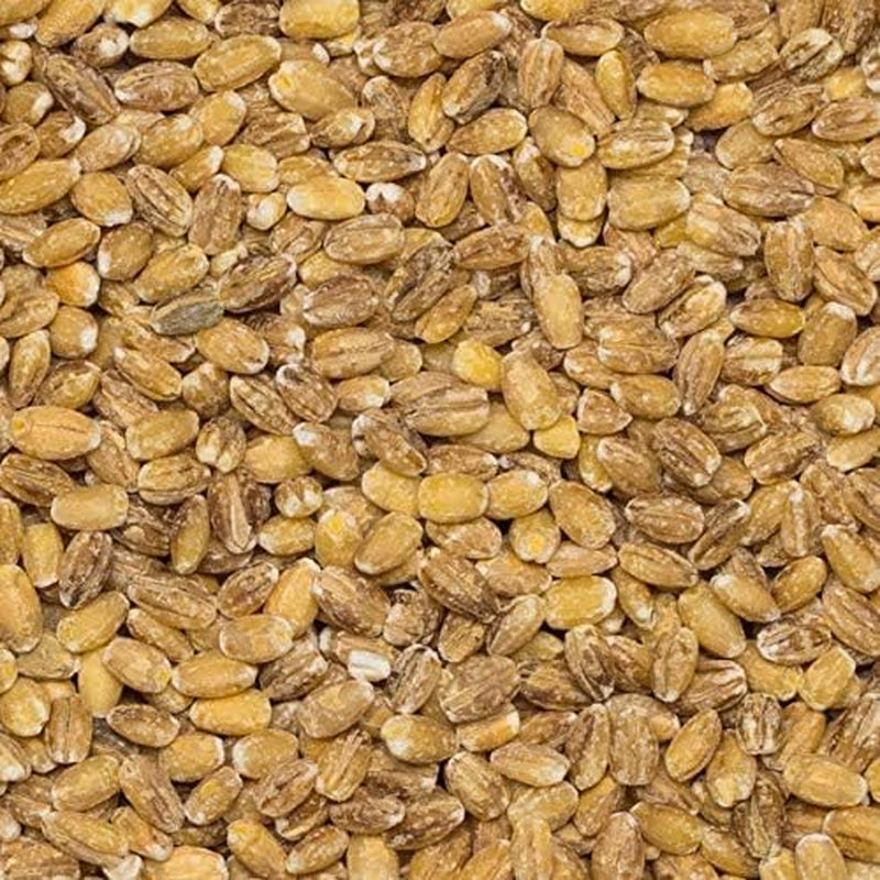 Cebada perlada Wholefood Earth - sin OGM - vegana - sin lácteos - sin azúcares añadidos, 2 kg