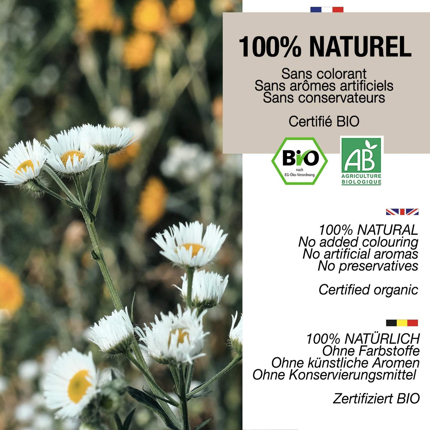 ORIGEENS Té de Flores de Manzanilla Bio de Europa, 100 g | Té de hojas sueltas, té orgánico para el sueño y la digestión | Manzanilla alemana | Certificado y empaquetado en Alemania.