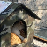 Mantas y Muebles, Mascotas, Cuevas y Casas, Gatos, Camas para Gatos, Camas para Gatos, Colchones