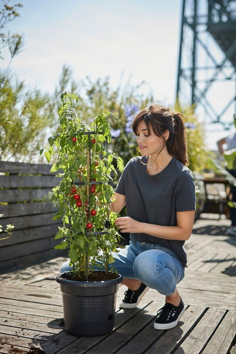elho Green Basics Tomato pots 33 - Macetas para cultivo y cosecha en exterior - Ø 33,5 x Alt. 26,0 cm - Negro/Negro vivo