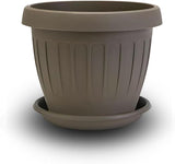 Maceta pequeña con plato - Maceta con plato 17 cm | Diseño práctico y ligero | Perfecto para plantas, esquejes o brotes tempranos 17 cm