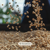 Incapto Spezialitäten-Kaffeebohnen | Colombiano de Origen Único | Espresso 100% Arábica | Café de Especialidad 84 Puntos SCA | Geröstete Bohnenkaffee tradicional | Plantaje Huila, Cadefihuila, 1kg