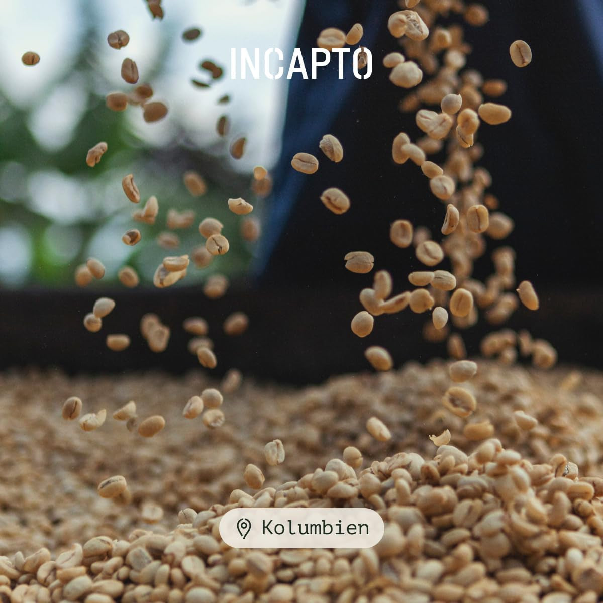 Incapto Spezialitäten-Kaffeebohnen | Colombiano de Origen Único | Espresso 100% Arábica | Café de Especialidad 84 Puntos SCA | Geröstete Bohnenkaffee tradicional | Plantaje Huila, Cadefihuila, 1kg