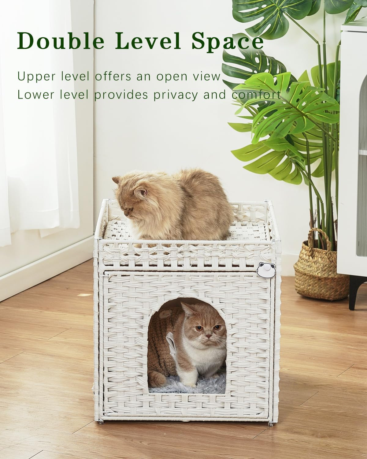 Mantas y Muebles, Mascotas, Casas y Cuevas, Gatos, Camas para gatos, Gatos - camas, colchones