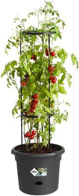 elho Green Basics Tomato pots 33 - Macetas para cultivo y cosecha en exterior - Ø 33,5 x Alt. 26,0 cm - Negro/Negro vivo