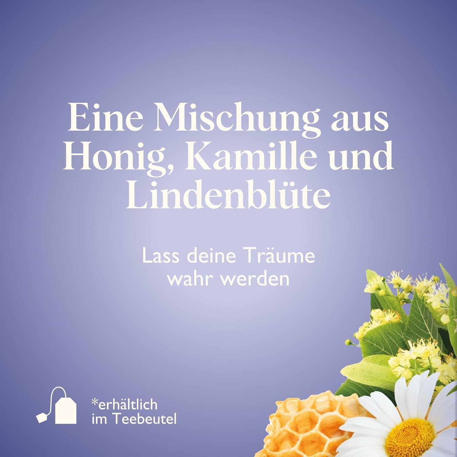 Twinings SWEET DREAMS Té de manzanilla con miel, naranja y flor de lima - Mezcla dulce de tés de hierbas para mejorar el sueño natural, paquete de 12 (10 bolsitas de té cada una)