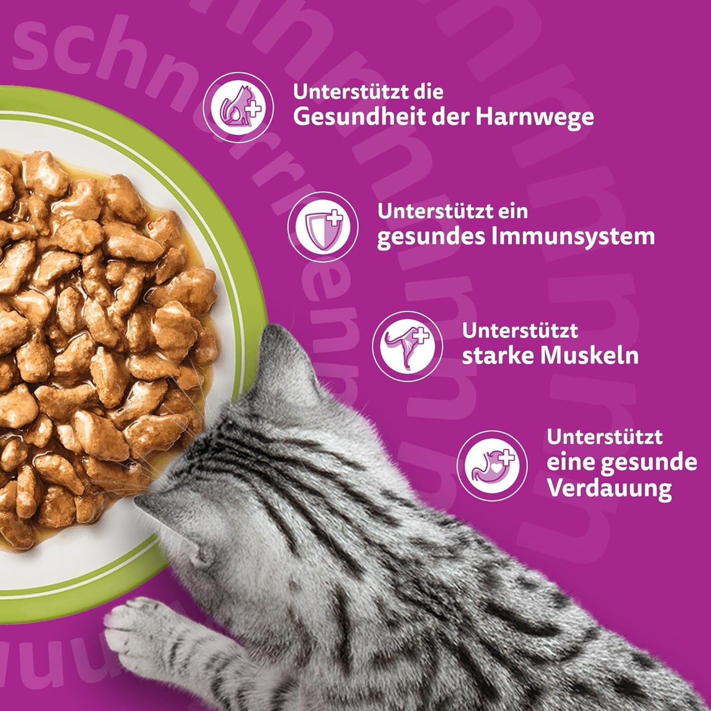 Whiskas Senior 7+ Comida Húmeda Selección Mixta en Gelatina, 84 Sobres, 84x85g (1 Paquete Grande) - Comida húmeda de alta calidad para gatos a partir de 7 años