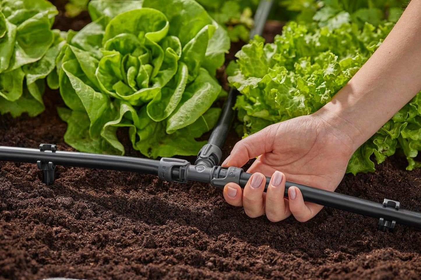 Sistema de riego por microgoteo Gardena, pieza en T de 13 mm (1/2"): conector para tubos de alimentación de 13 mm, rama en T, riego automático, reutilizable (13201-20)