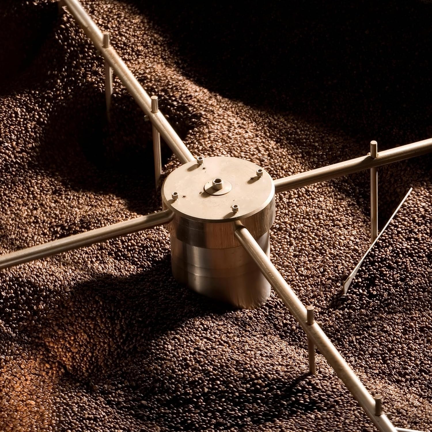 NIK CAFE' – Mezcla clásica – granos de café tostados. Su Excelencia, el robusto. 100% robusto